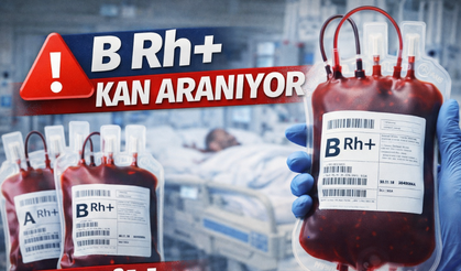 Erkek olması şartıyla B Rh+ Kan Aranıyor!