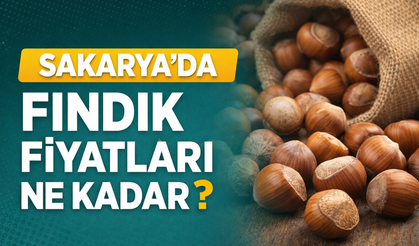 Sakarya’da Fındık Fiyatları Belli Oldu! 11 Ağustos 2026 Güncel Fiyatlar