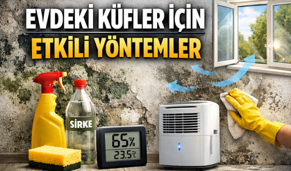 Evde Küf ve Nem Nasıl Önlenir?