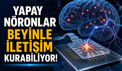 Gerçek Beyin Hücreleriyle Etkileşen Yapay Nöronlar Üretildi