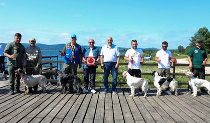Büyük Akgöl’de Av Köpekleri Yarıştı!