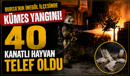 40 Kanatlı Hayvan Telef Oldu