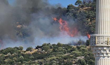 Gebze’de orman yangını: Ekipler seferber oldu