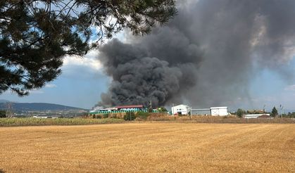 Geri dönüşüm tesisinde yangın