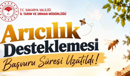 Sakarya'daki arıcılara müjde! Başvuru süresi uzatıldı