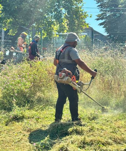 Meşeli Mahallesi’nde Çevre Düzenleme Çalışmaları Tamamlandı