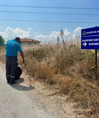 Serdivan’da Yol Kenarlarında Temizlik Mesaisi