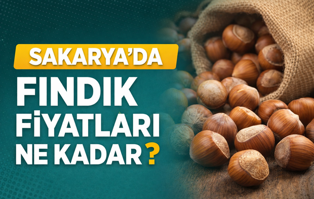 Sakarya’da fındık fiyatları ne kadar? 26 Eylül 2026 güncel fiyatlar