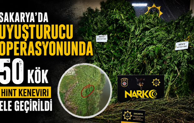 Karasu’da Uyuşturucu Operasyonu: 50 Kök Hint Keneviri ve 10 Kilo Esrar Ele Geçirildi