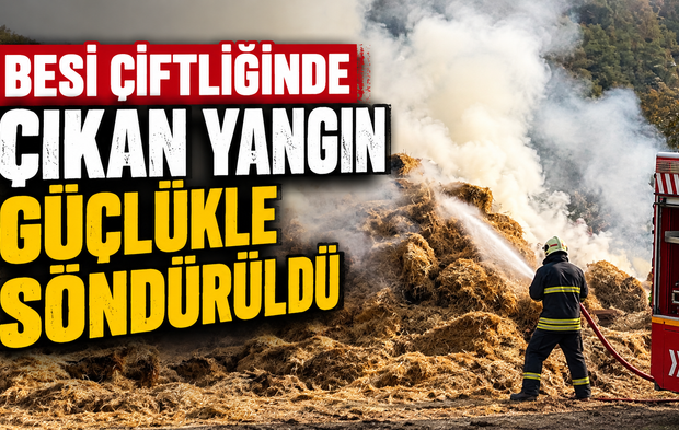 Besi çiftliğinde çıkan yangın güçlükle söndürüldü
