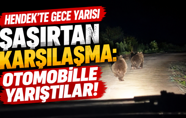 Hendek’te gece yarısı şaşırtan karşılaşma: Otomobille yarıştılar!