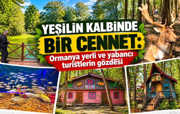 Yeşilin kalbinde bir cennet: Ormanya yerli ve yabancı turistlerin gözdesi
