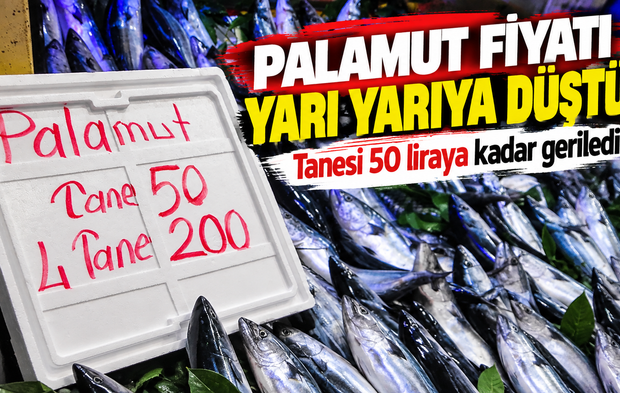 Palamut fiyatı yarı yarıya düştü: Tanesi 50 liraya kadar geriledi