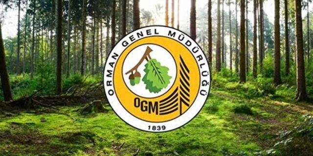 OGM 249 Orman Mühendisi alımı yapacak