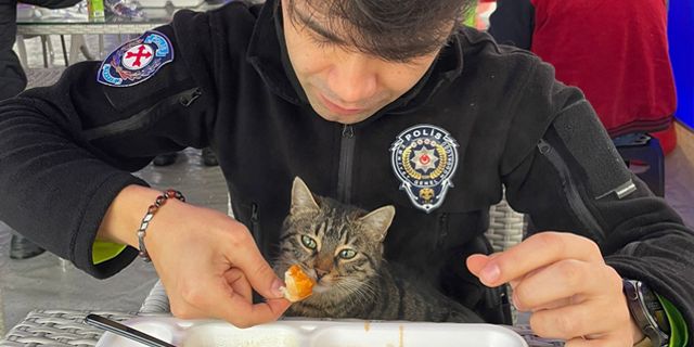 Polis yemeğini kedi ile paylaştı