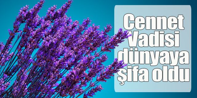 Cennet Vadisi dünyaya şifa oldu