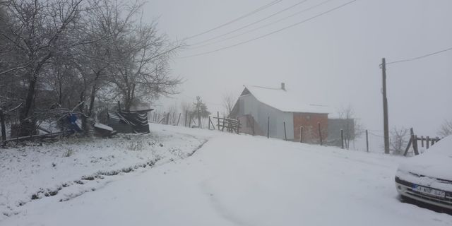 Sakarya ve Karabük'te nisan ayı sonunda kar yağdı