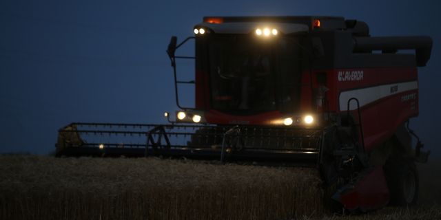 Trakya'da buğday hasadı gece gündüz devam ediyor