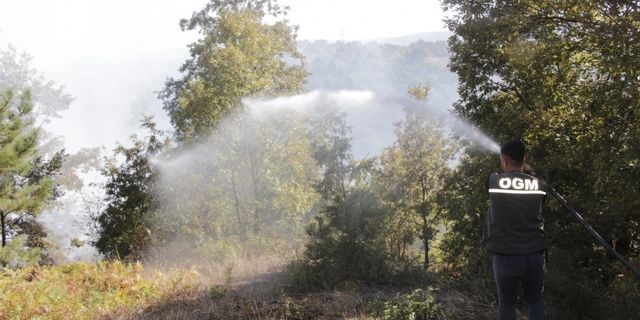 Bilecik'te köyün yakınındaki otluk alanda çıkan yangın söndürüldü