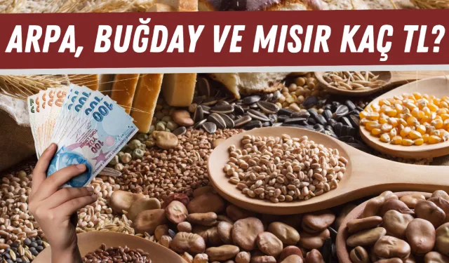 15 EKİM 2024 KONYA TİCARET BORSASI GÜNLÜK FİYATLARI | MISIR KAÇ TL?