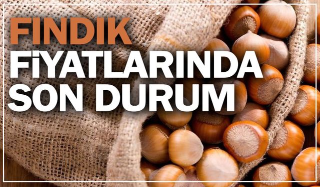 Sakarya’da 23 Ağustos 2025 fındık fiyatları