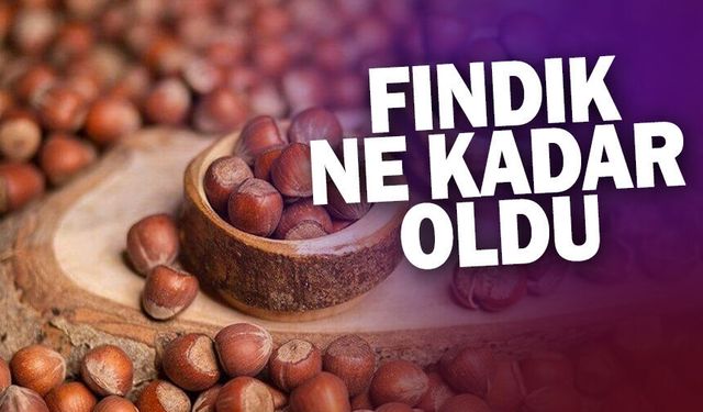 25 Şubat 2026 Sakarya Fındık Fiyatları | Fındık Bugün Kaç TL?