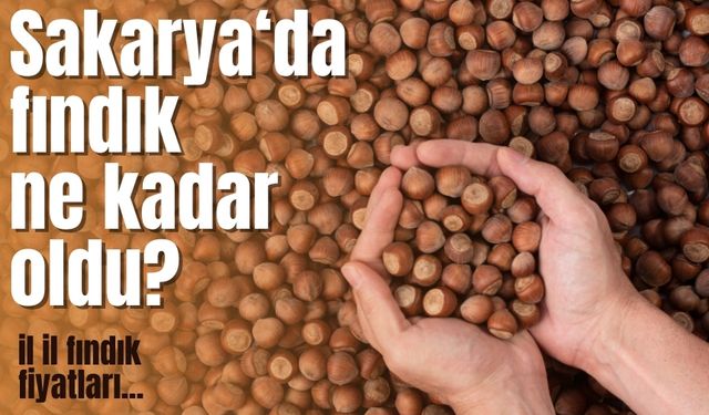 Fındık Fiyatlarında Yükseliş: Günlük Veriler Açıklandı | 25 Ekim 2025