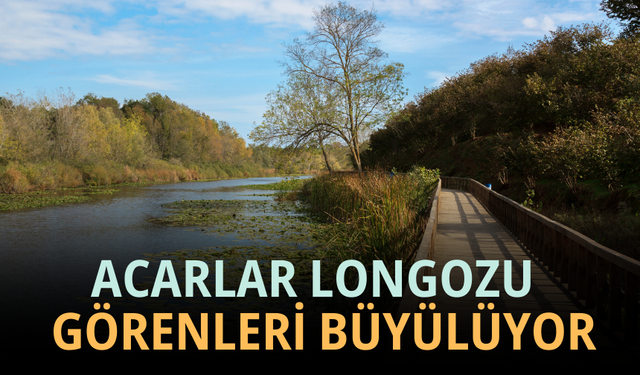 Türkiye'nin En Güzel Longozlarından Acarlar Longozu
