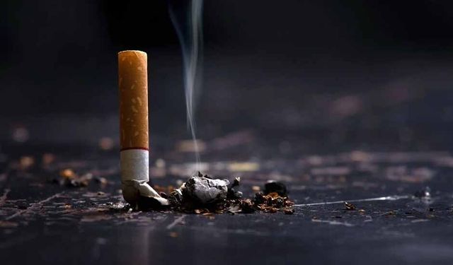 Taş “Sigara gençlerimizin en büyük düşmanıdır”