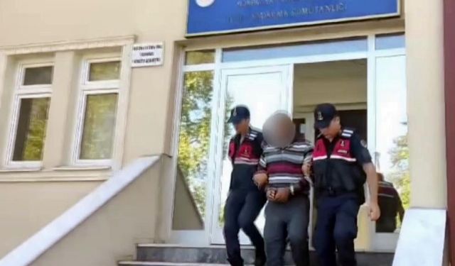 Tarladan mısır koçanı ve üzüm çalan hırsızlar jandarmadan kaçamadı