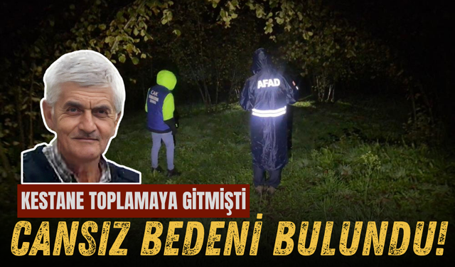 Kocaali'de Kestane Toplamak İçin Çıkan Yaşlı Adamın Cansız Bedeni Bulundu