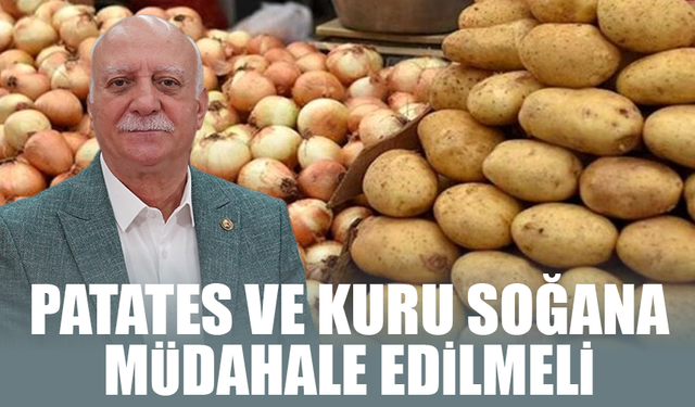 Bayraktar: "Devlet patates ve kuru soğana müdahale etmeli"