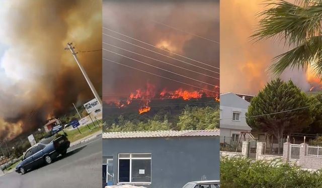 İzmir Foça’da yangın