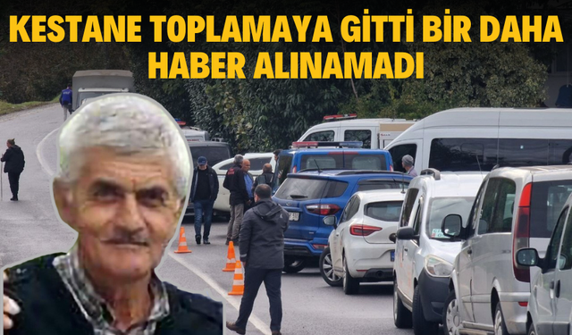 Kestane toplamaya gitti bir daha haber alınamadı