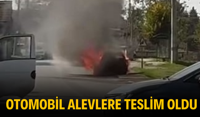 Otomobil alevlere teslim oldu