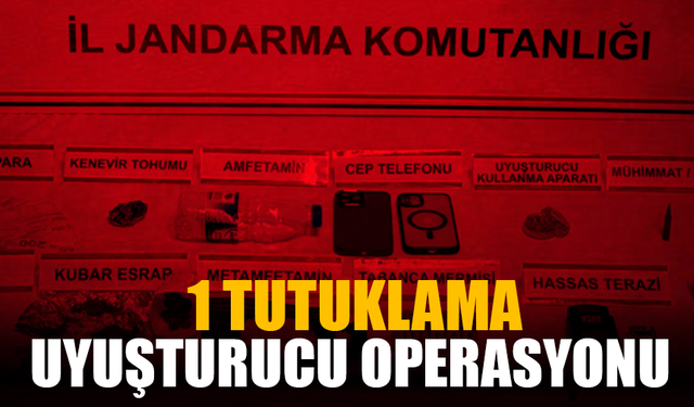 Uyuşturucu operasyonu: 1 tutuklama