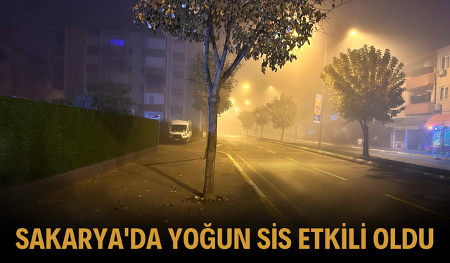 Sakarya'da Yoğun Sis Etkili Oldu