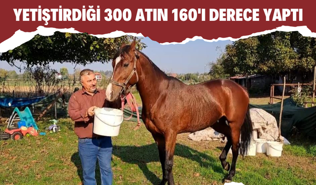 Yetiştirdiği 300 atın 160'ı derece yaptı