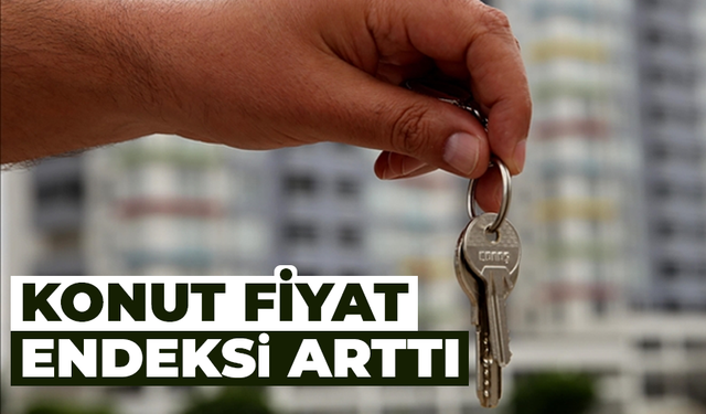 Konut Fiyat Endeksi şubatta yüzde 2,8 arttı