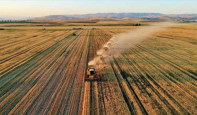Tarımsal girdiler yıllık yüzde 33,8 arttı