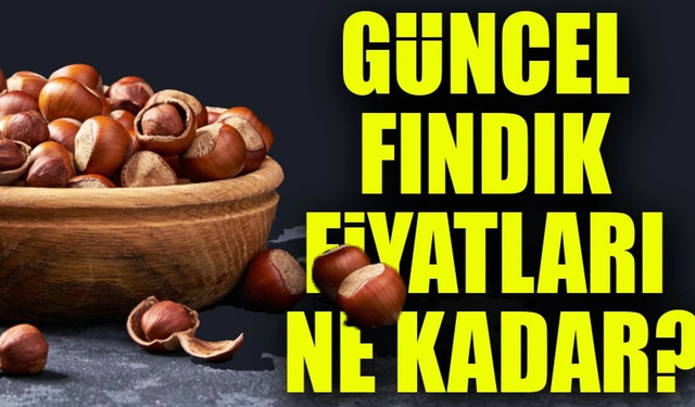 Sakarya Güncel Fındık Fiyatları  4 Haziran 2025 Çarşamba | Fındık Bugün Ne Kadar Oldu?