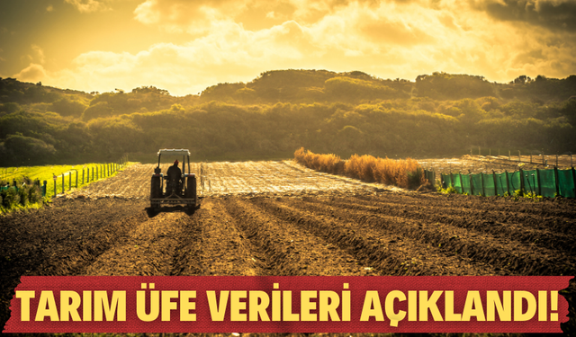 Tarım ÜFE Temmuzda Aylık Bazda Yüzde 5,66 Geriledi
