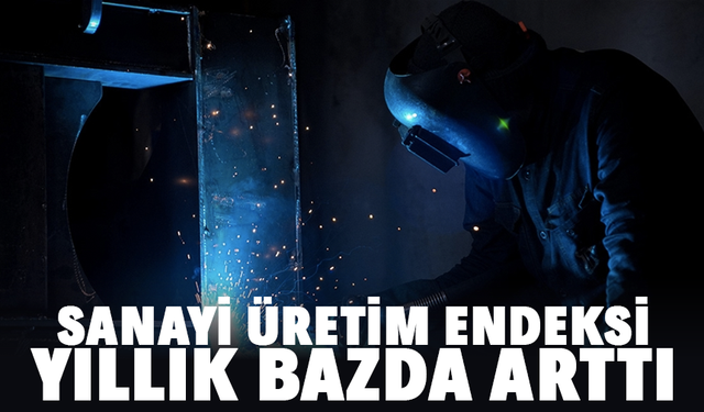 Sanayi üretim endeksi yıllık bazda arttı