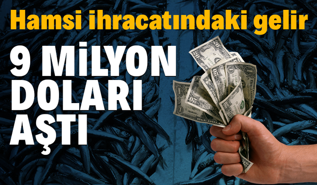 Hamsi ihracatındaki gelir 9 milyon doları aştı