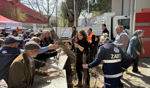 Çan'da 10 bin meyve fidanı ücretsiz dağıtıldı