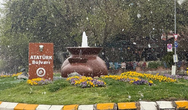 Edirne'de kar yağışı etkili oluyor