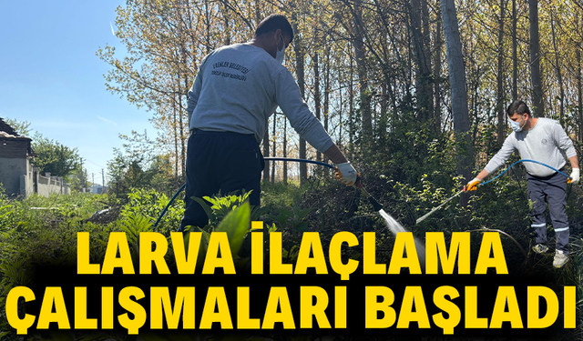 Larva ilaçlama çalışmaları başladı!