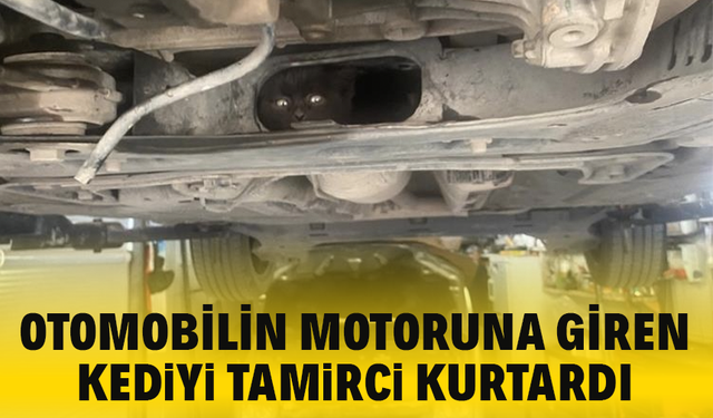 Otomobilin motoruna giren kediyi tamirci kurtardı