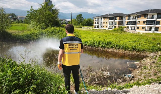 Akyazı’da ilaçlama çalışmaları aralıksız devam ediyor