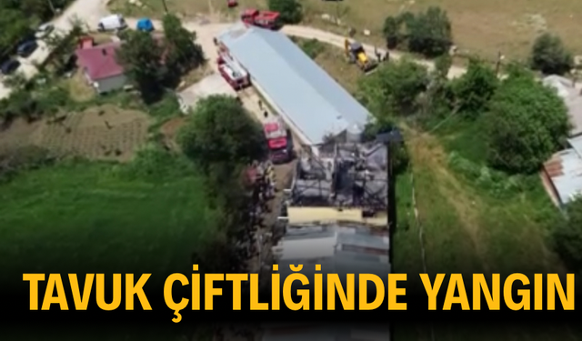 Tavuk çiftliğinde korkutan yangın!